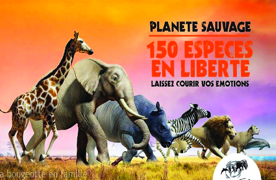 Séjour Plante Sauvage1